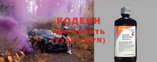 СК Елизово
