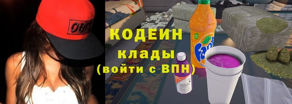 первитин Дмитриев