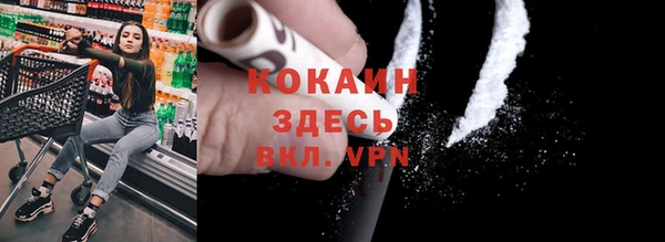 СК Елизово
