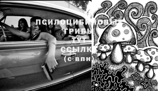 первитин Дмитриев