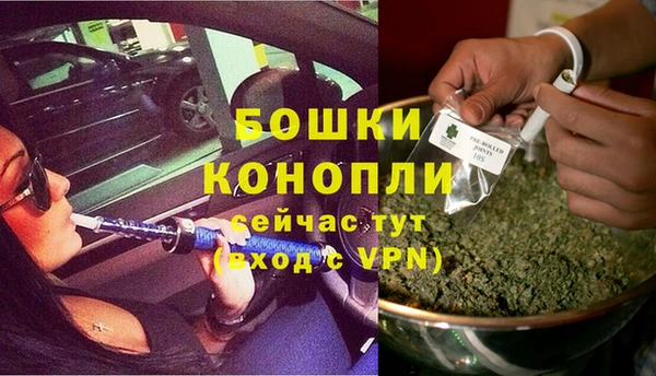 трава Дмитровск