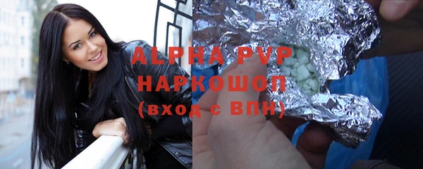 СК Елизово